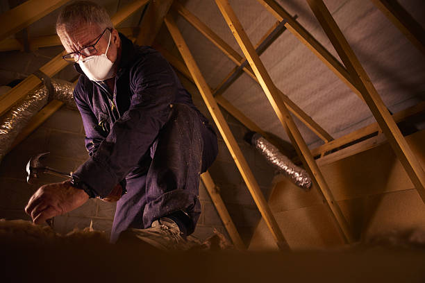 Best Eco-Friendly Insulation in Lynden, WA